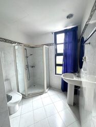 Haig Court (D15), Condominium #507116781